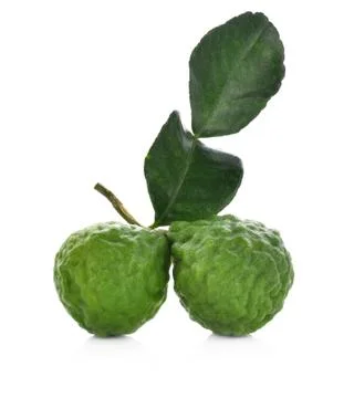 Bergarmot on white background Foto stock