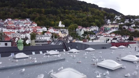 Bergen Norway 動画素材 292073003