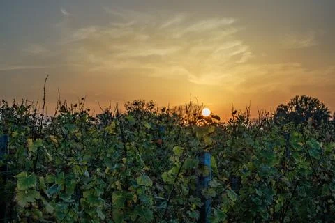 Bergerac sunset Stock Photos
