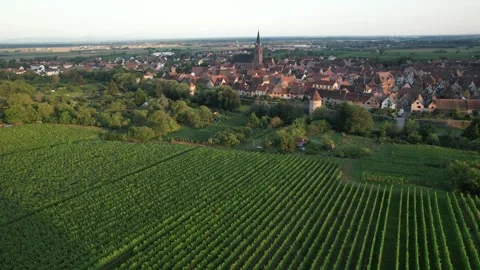 Bergheim, Alsace 스톡 동영상 256014673