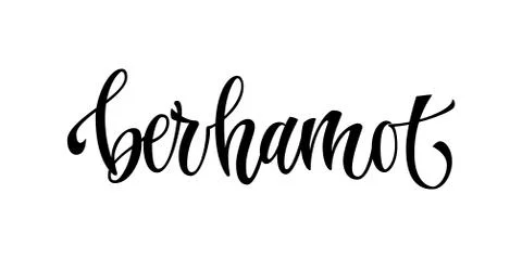Berhamot - vector hand drawn calligraphy style lettering word. Illustrazione stock