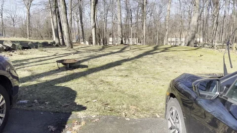 Berkeley Heights, NJ, USA - 02-05-2022: birds in the backyard on a sunny day Stock Footage 344814895