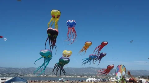Berkeley Kite Festival Stock Footage 40600930