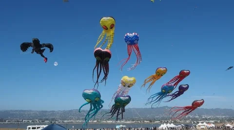 Berkeley Kite Festival Stock Footage 40601027