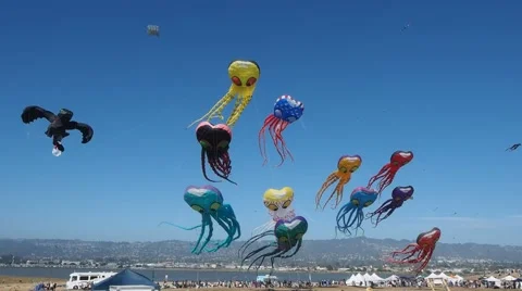 Berkeley Kite Festival Stock Footage 40601033