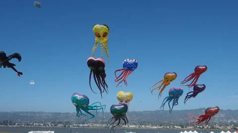 Berkeley Kite Festival Stock Footage 40601187
