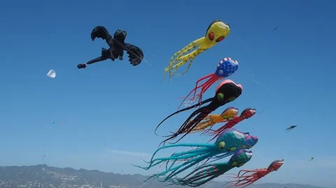 Berkeley Kite Festival Stock Footage 40601450