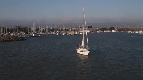 Berkeley Sailboat Stock Footage 194035983