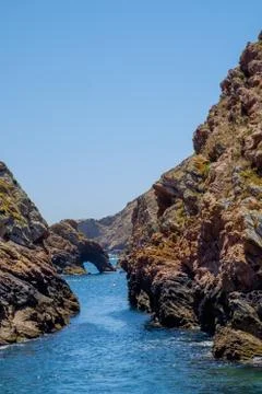 Berlengas Stock Photos