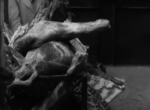 BERLIN - 1946: Hooking - Worker hooks a carcass onto a metal frame Stock Footage 344495849