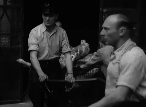 BERLIN - 1946: Processing - Workers carry a carcass into a workroom Stock Footage 344495858