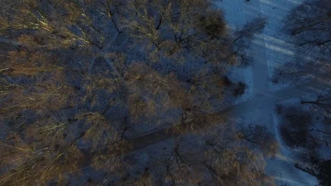 Berlin aerial, A trip over othe winter Tiergarten garden with sun and snow Stock Footage 80460338