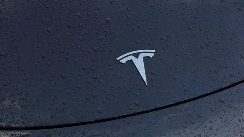 Berlin, berlin, germany - 08 08 2023: a tesla logo on a rainy tesla video Stock Footage 248079385