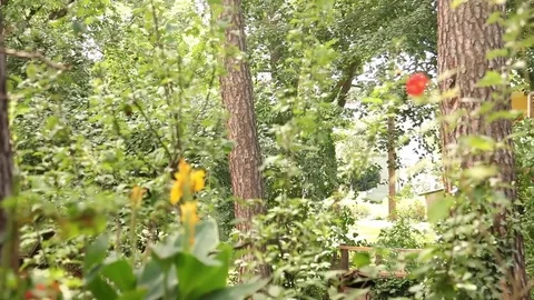 Berlin Bird House Stock Footage 81545009