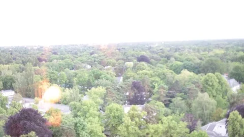 Berlin Elevated Window Tree View- Stock Footage 81545013