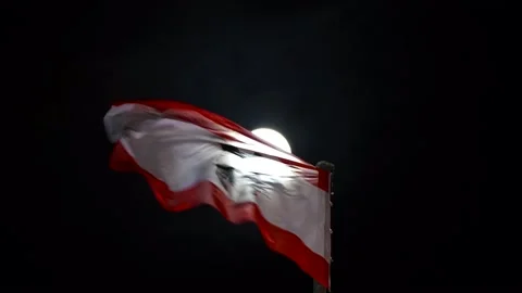 Berlin flag waving on the wind with full moon on the dark night 스톡 동영상 145992644