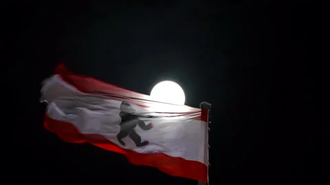 Berlin flag waving on the wind with full moon on the dark night 库存影片 145993493