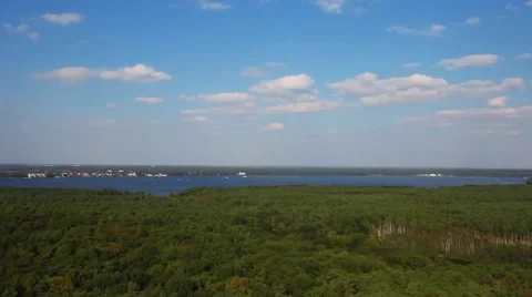 Berlin forest top Video stock 42010547