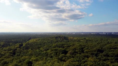 Berlin forest top 库存影片 42024273