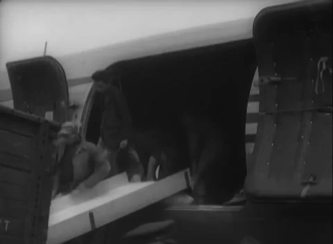 BERLIN, GERMANY - 1948: Cargo transfer - Workers rig chute for cargo sacks Stock Footage 344495395