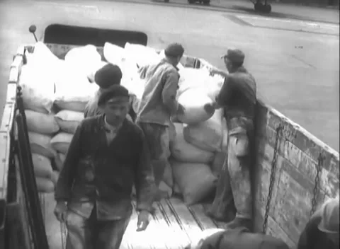 BERLIN, GERMANY - 1948: Cargo work - Workers move sacks across a truck bed Stock Footage 344495439