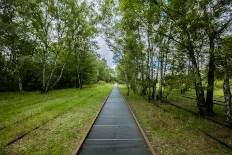 Berlin, Germany - 30th August 2017 - Nature Park Schoneberger Sudgelande Stock Photos
