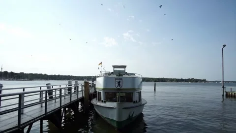 Berlin, Germany - August 9, 2025: Seabirds flying over a boat at Großer Wannsee Video stock 318607059