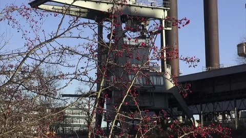 Berlin, Germany, Spring, Springtime, Wedding, Woods, Crane, Factory Video stock 332684990