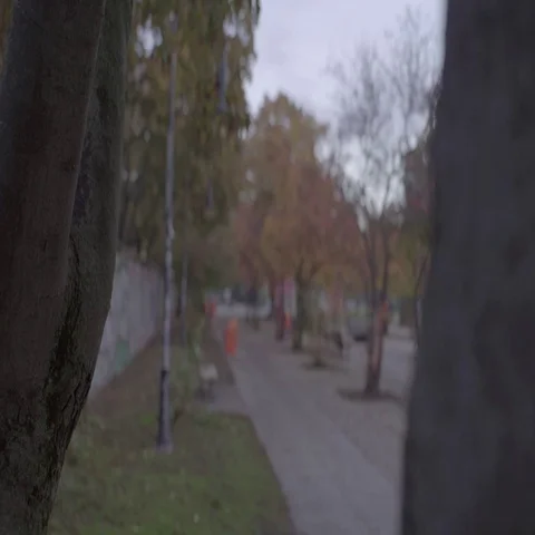 Berlin Goerlitzer Park 4K Stock Footage 69122000