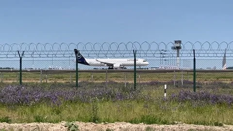 Berlin: Lufthansa Airbus A321 takes off from Berlin Brandenburg Airport BER, 4K Stock Footage 243262802