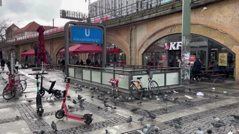 Berlin: Pigeons at entry to underground metro station at Alexanderplatz, 4K Stock Footage 169854451