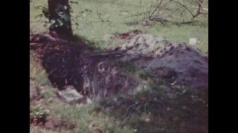 Berlin in ruins Stock Footage 253684138