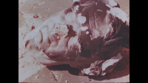 Berlin ruins Stock Footage 253690390