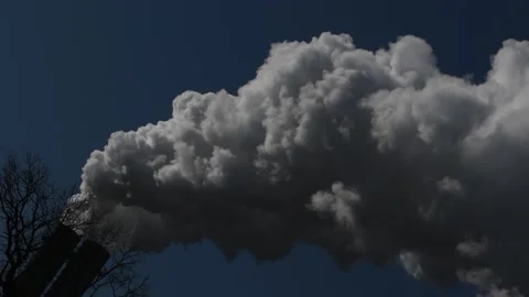 Berlin Spring Environmental Impressions, Germany Stock Footage 137761655