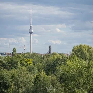 Berlin TV Tower centered over city treetops in summer 스톡 사진