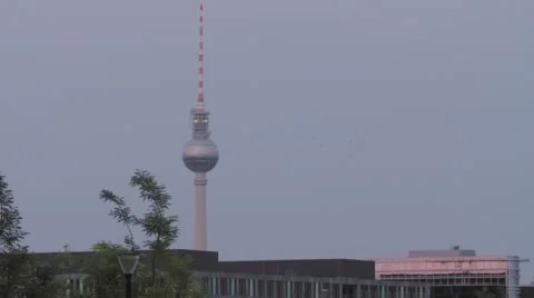 Berlin, TV Tower Flock Of Birds Stock Footage 60051046