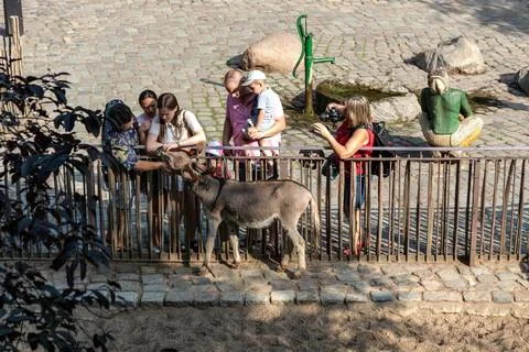 At the Berlin Zoo. Stock Photos