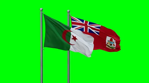 Bermuda and Algeria two flags Stock Footage 291180570