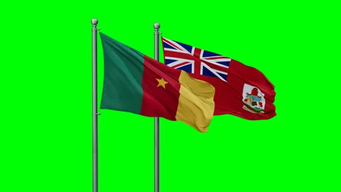 Bermuda and Cameroon two flags Stock Footage 292797897