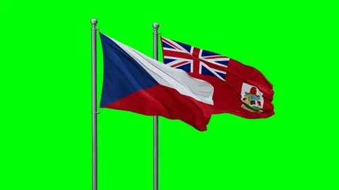 Bermuda and Czech Republic two flags Stock Footage 290411471