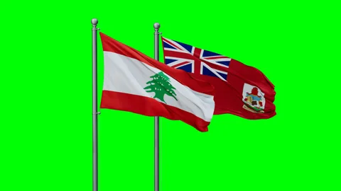 Bermuda and Lebanon two flags Stock Footage 295068309