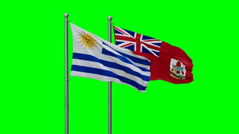 Bermuda and Uruguay two flags Stock Footage 292825123