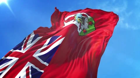 Bermuda Flag Low Angle View Stock Footage 295685402