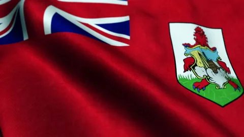 Bermuda flag - Seamless Looping Stock Footage 206155673