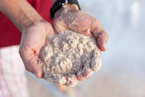 Bermuda pink sands close up Stock Photos