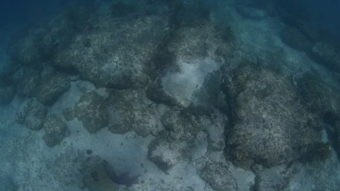 In the Bermuda Traiangle is the Road to Atlantis Stock-Footage 115537992
