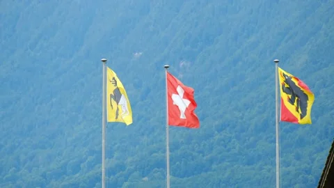 Bern Canton Flag Stock Footage 198892620