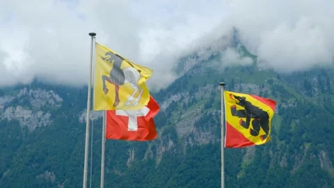 Bern Canton Flag Stock Footage 198892633