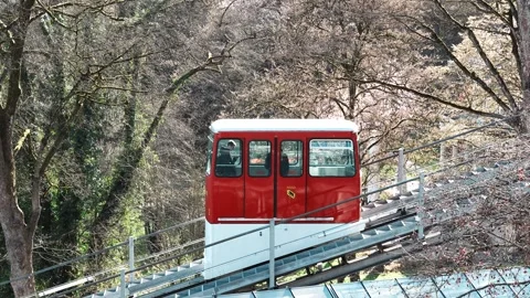 Bern Marzili incline funicular train side on view Stock Footage 345619890