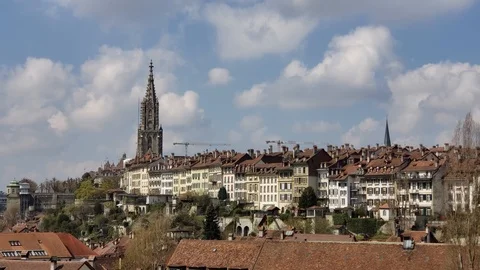 Berner Munster MS Vidéo 122341090